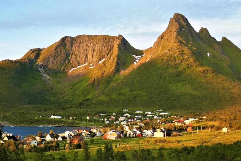Cozy Apartment Between Sea And Mountains Mefjordvær Dış mekan fotoğraf